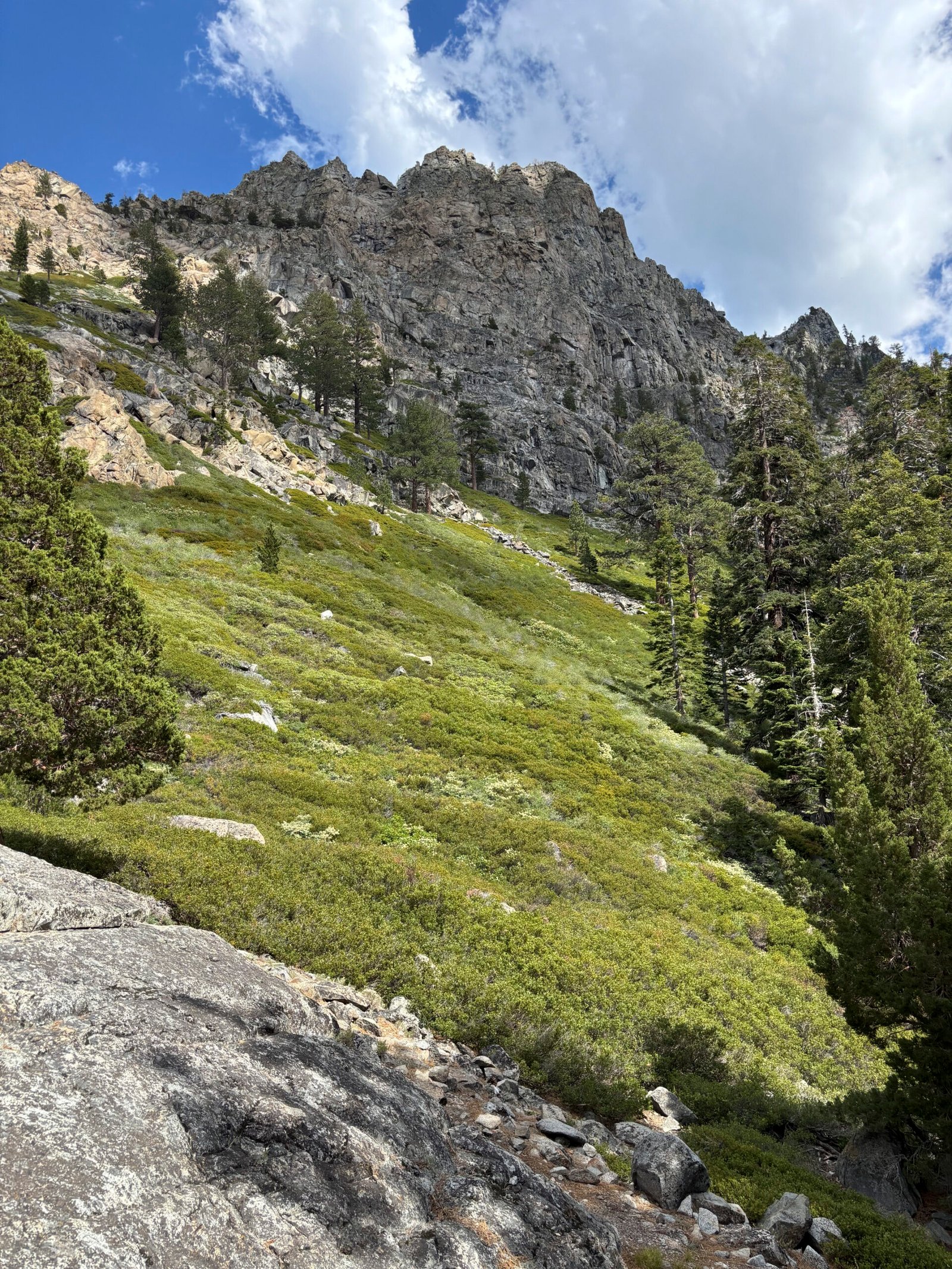 mountain side